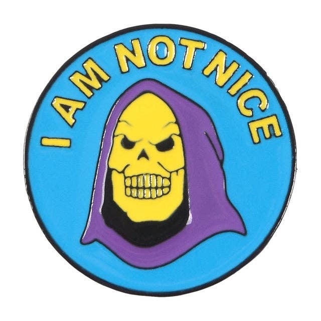 Skeletor I Am Not Nice Pin