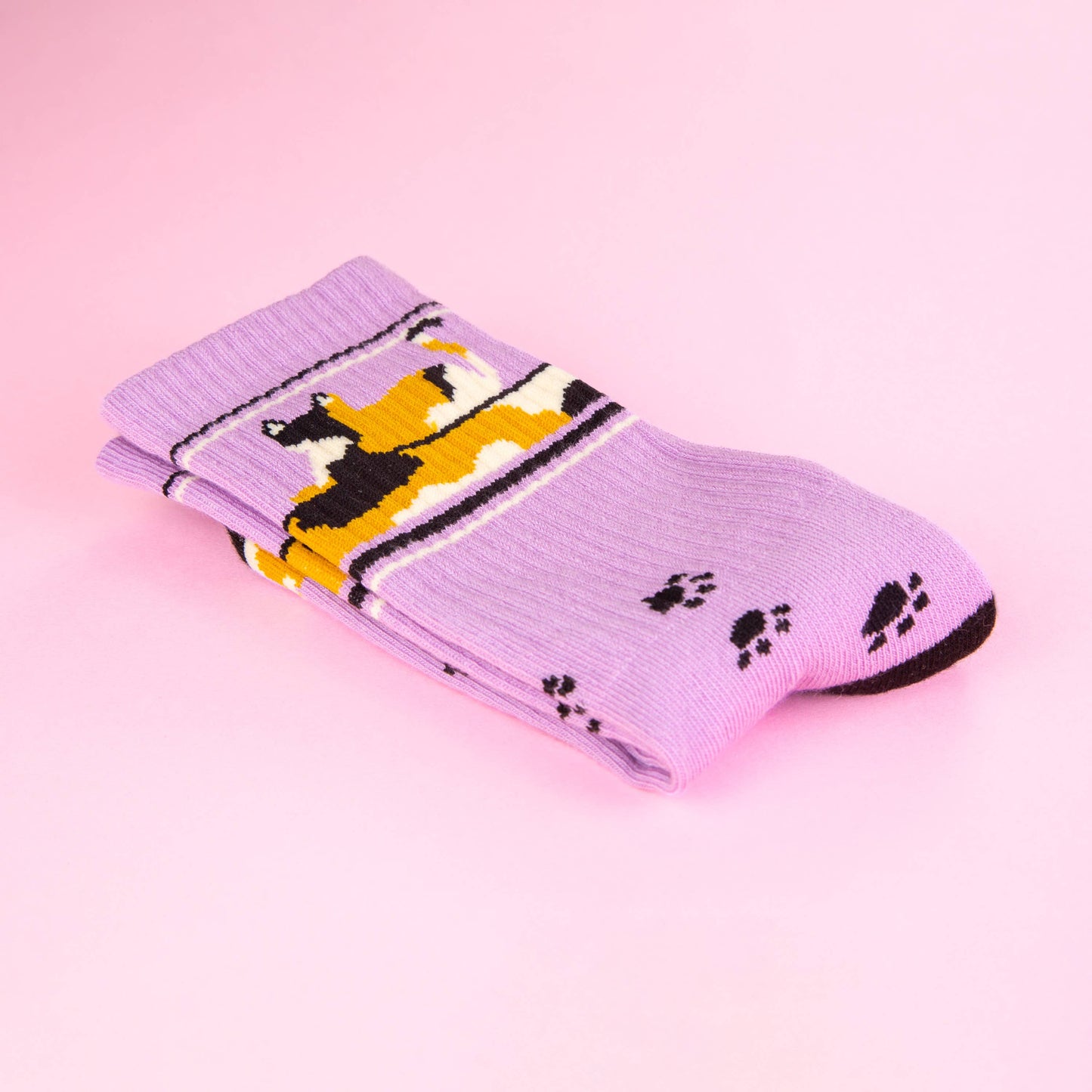 Lounging Calico Cat Gym Crew Socks