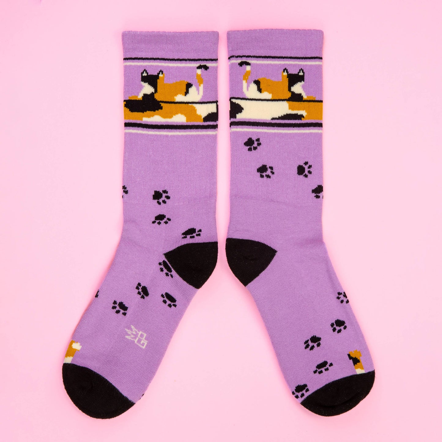 Lounging Calico Cat Gym Crew Socks