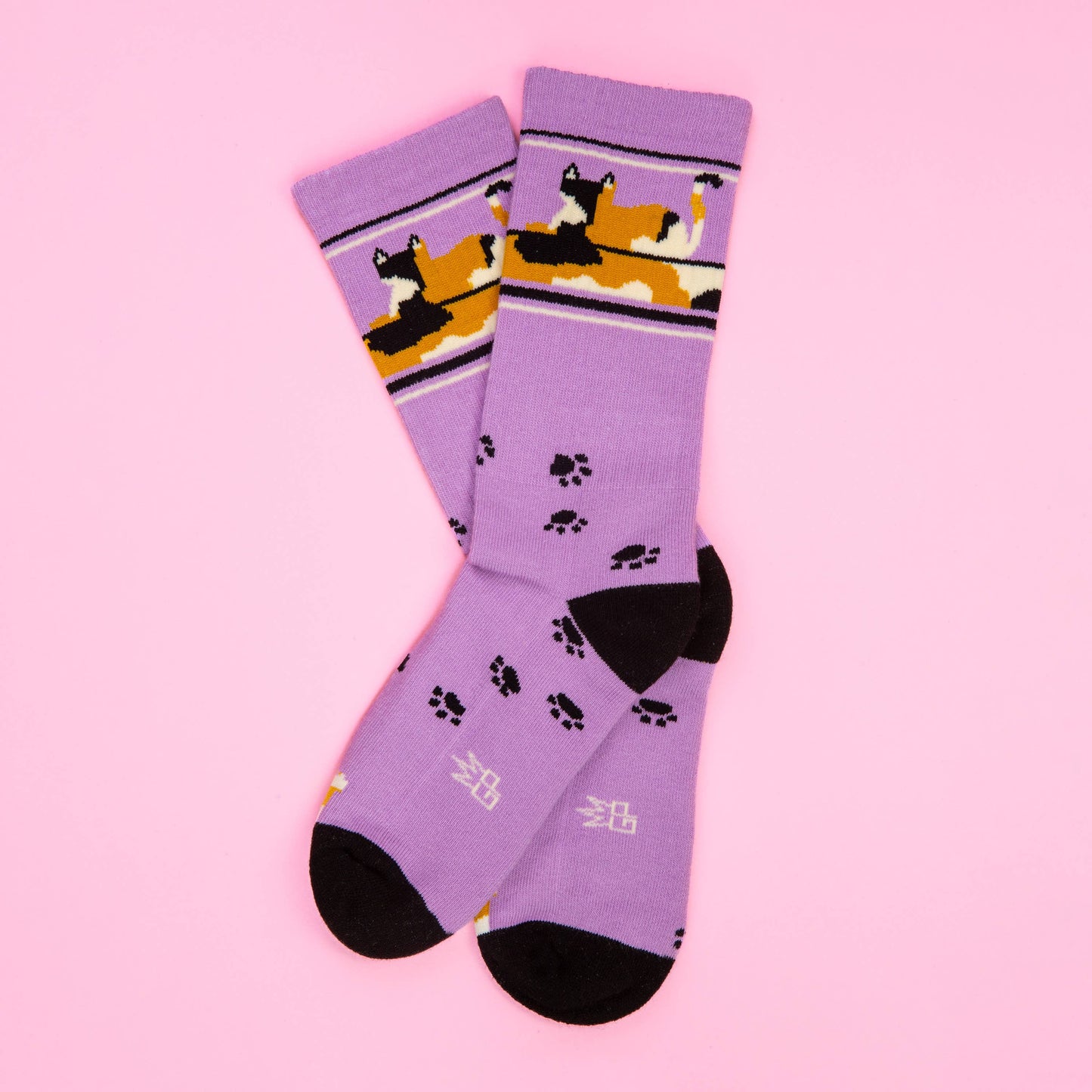 Lounging Calico Cat Gym Crew Socks