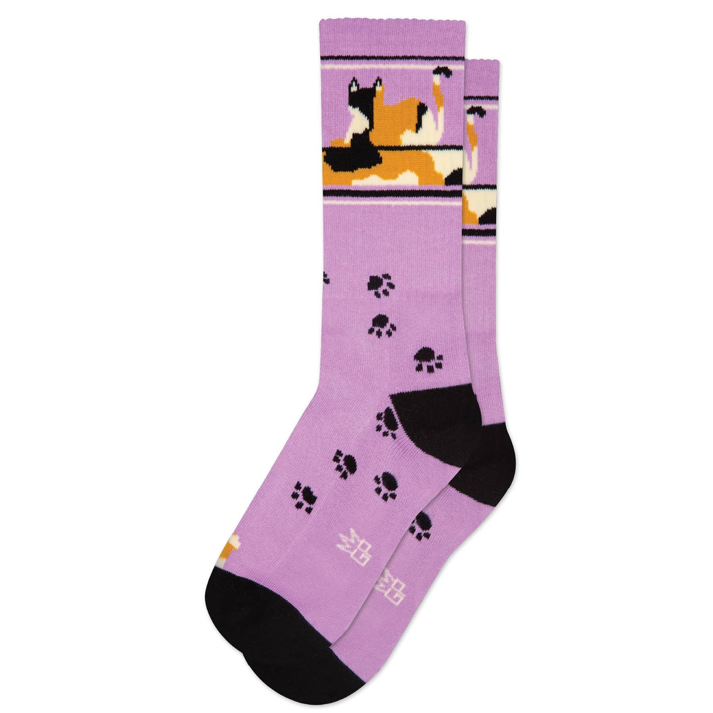 Lounging Calico Cat Gym Crew Socks