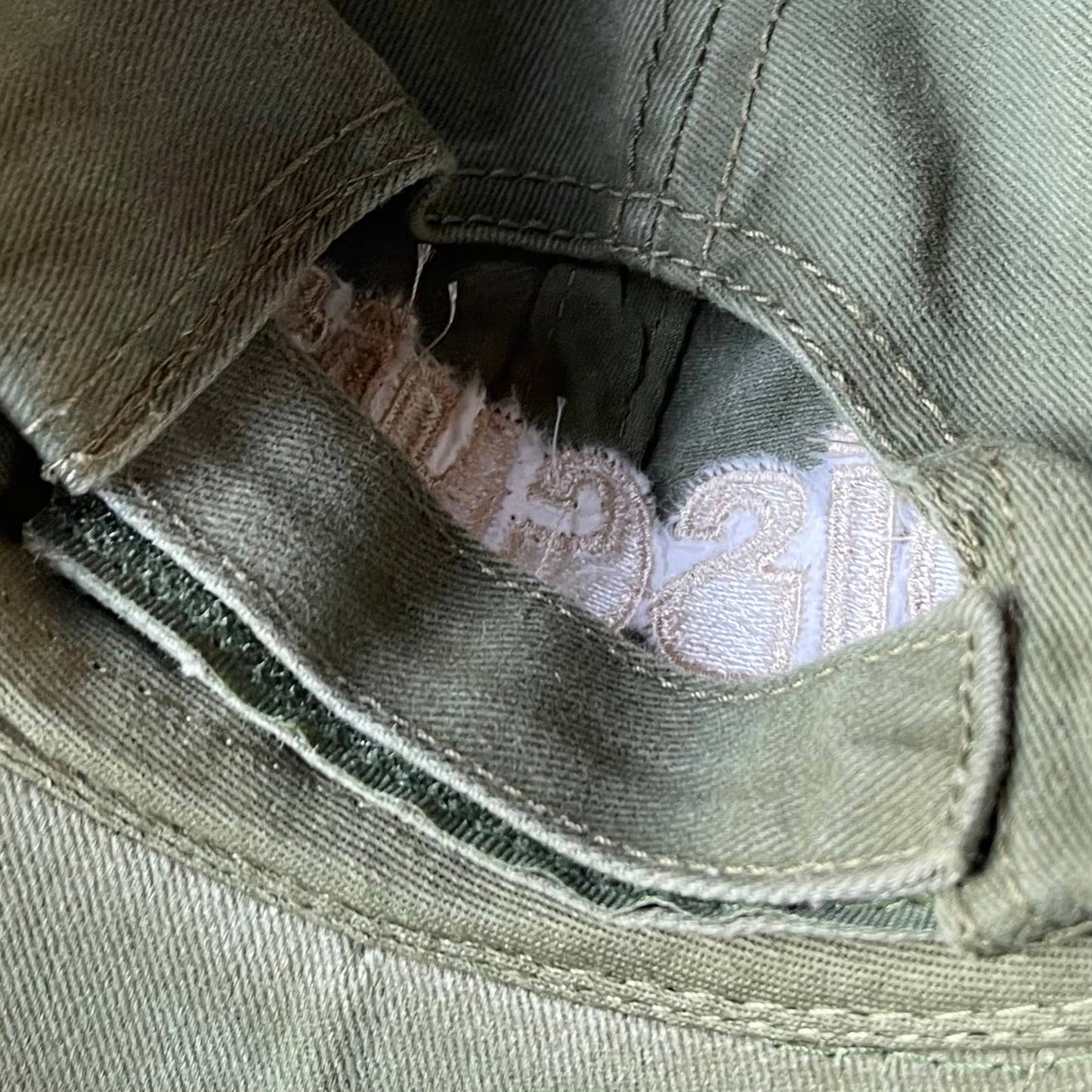 Biscuits Dad Hat