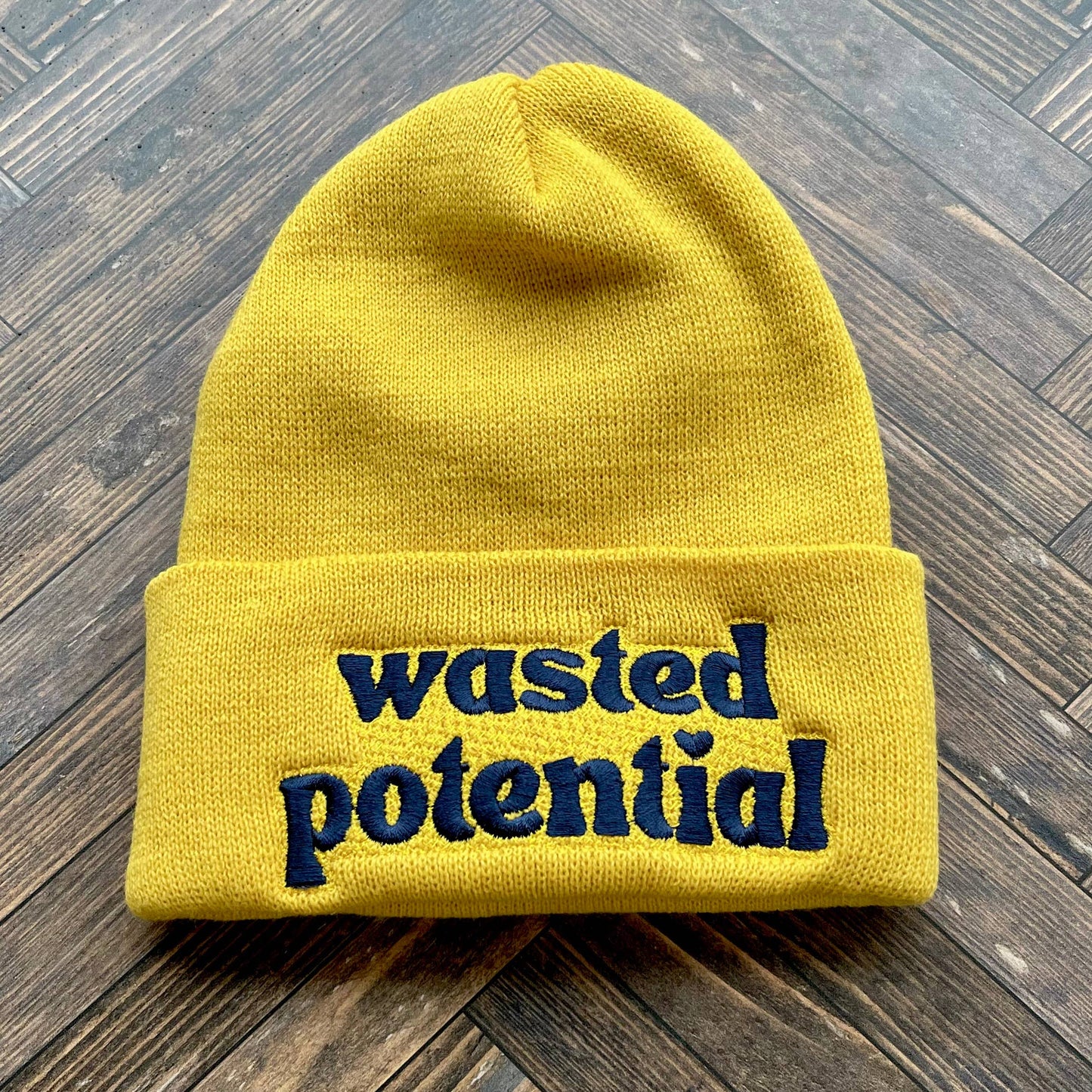 Wasted Potential Beanie