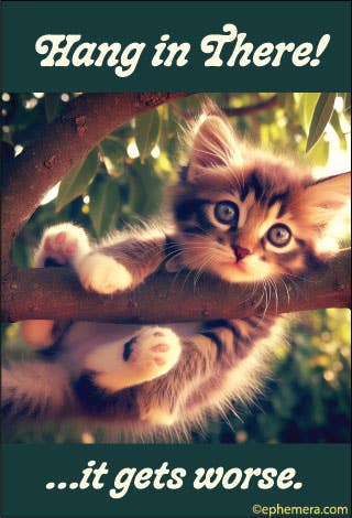 Hang in There Magnet