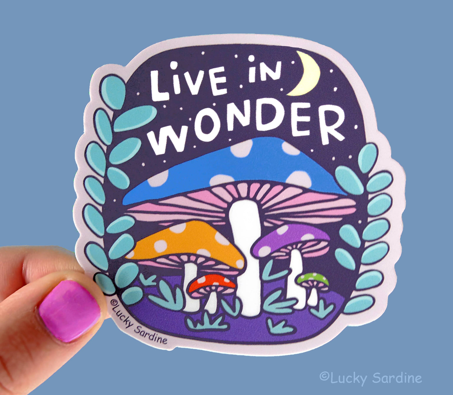 Live In Wonder Sticker