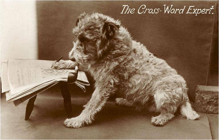 The Crossword Expert Postcard