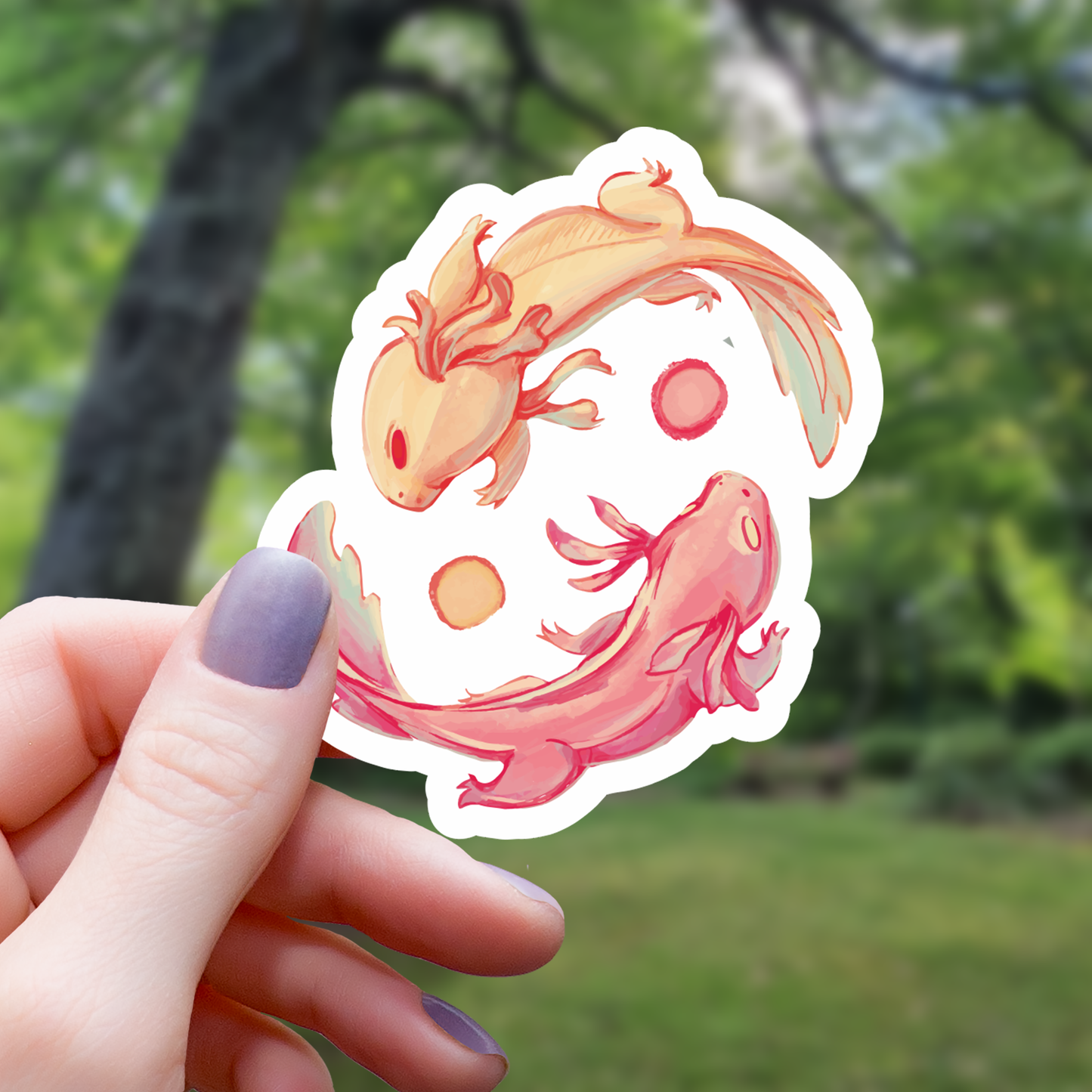 Axolotl Yin Yang Sticker