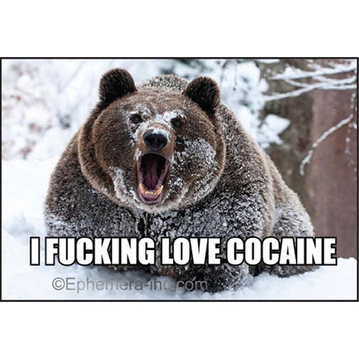 I Fucking Love Cocaine Magnet