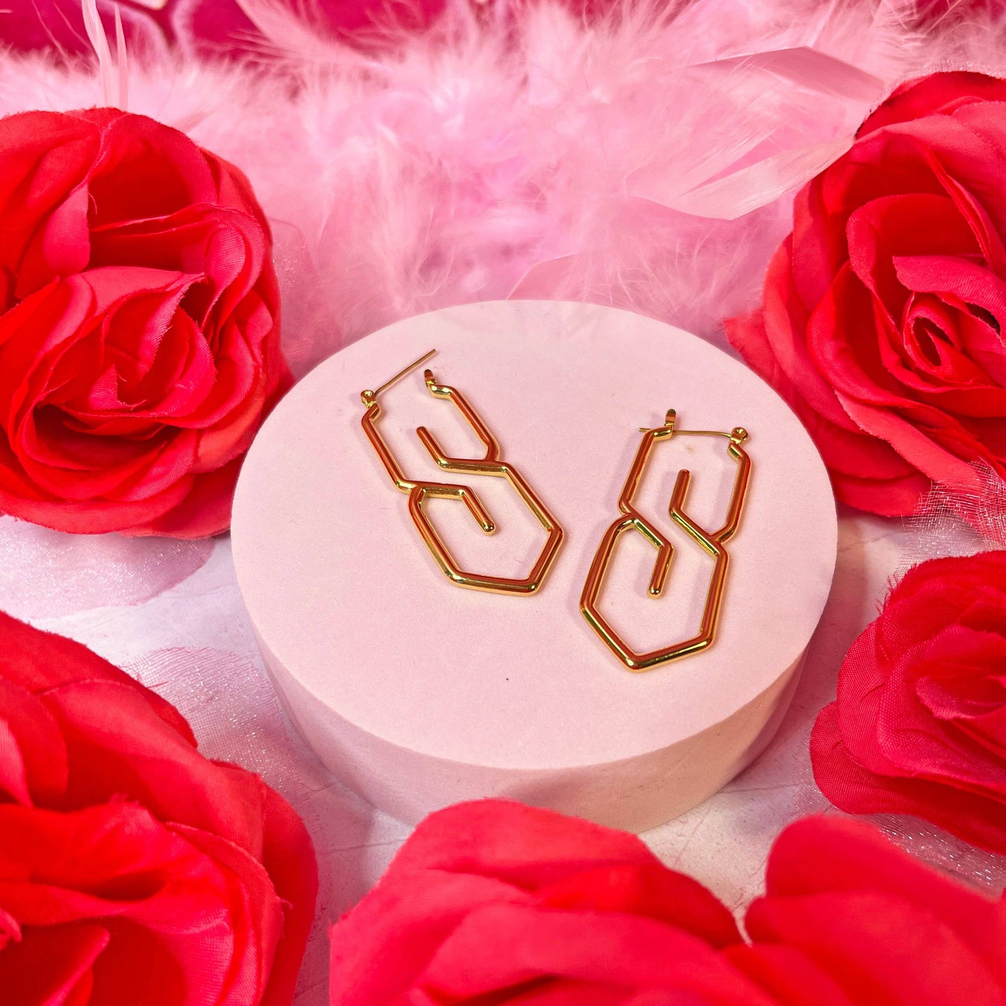 S Earrings