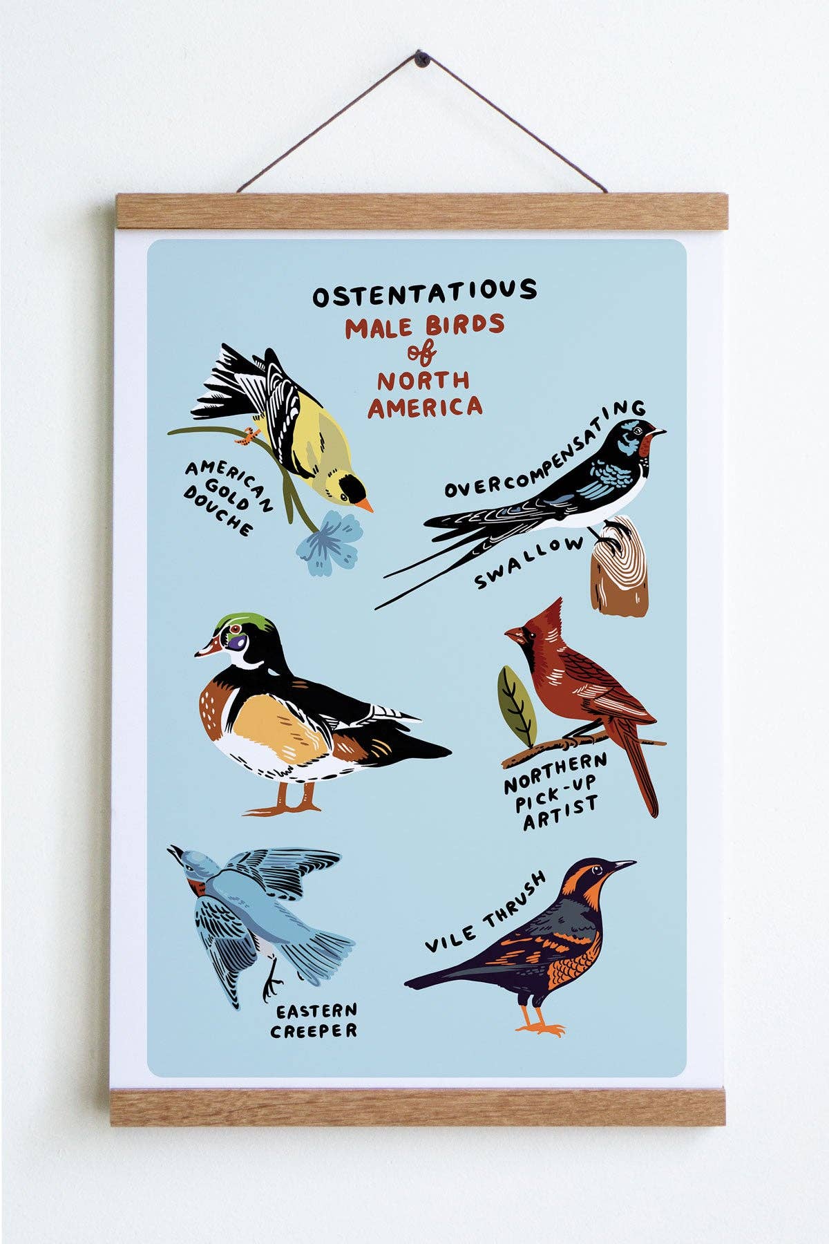 Male Birds Print