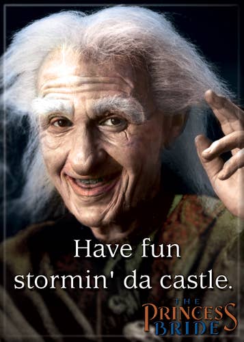 Princess Bride Have Fun Magnet