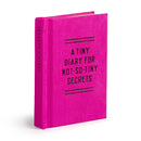 Tiny Diary for Not So Tiny Secrets-2