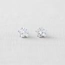 Little Star Stud Earrings-1