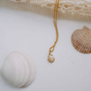 Sea Shell Necklace-4
