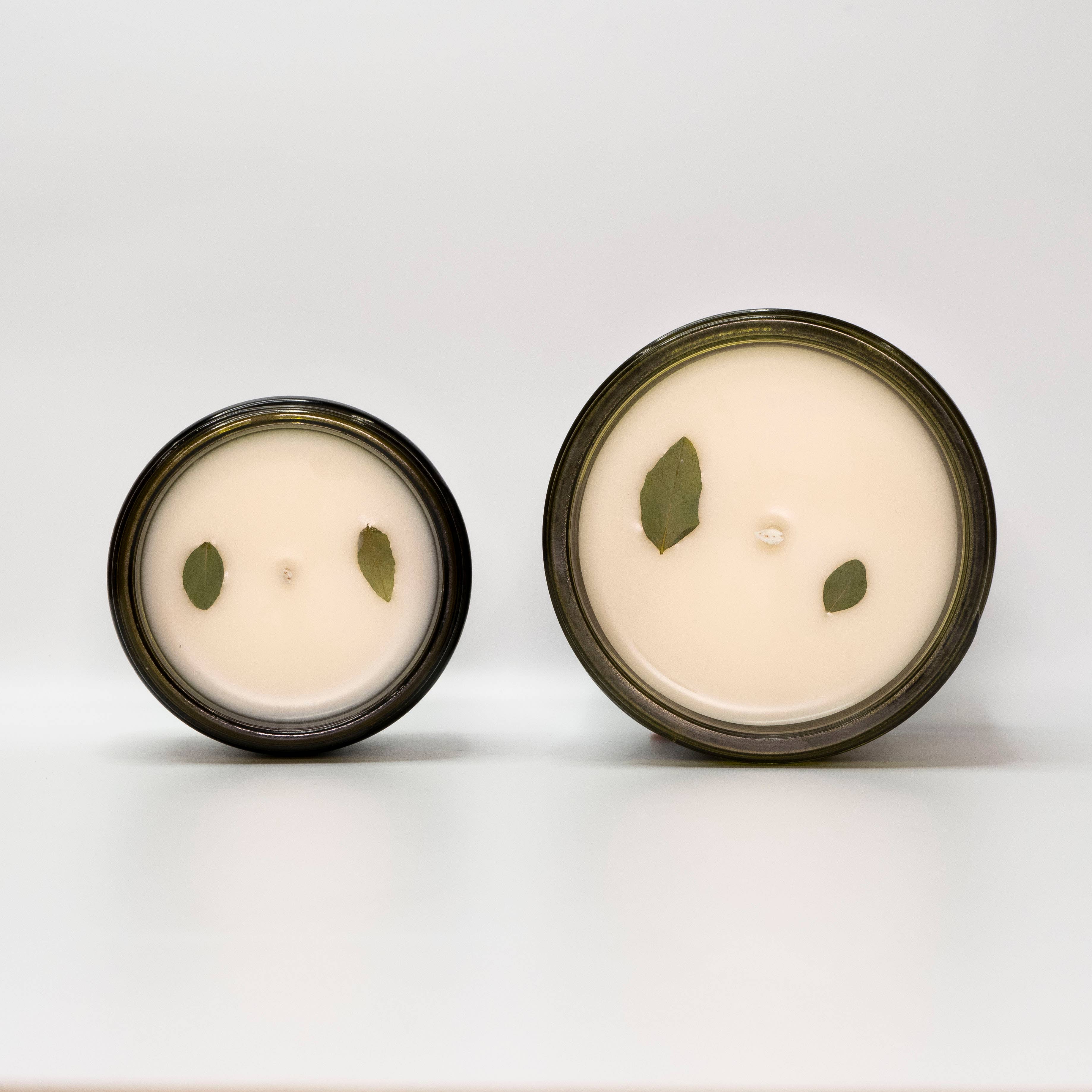 Basil + Amber | Queer Candle Company
