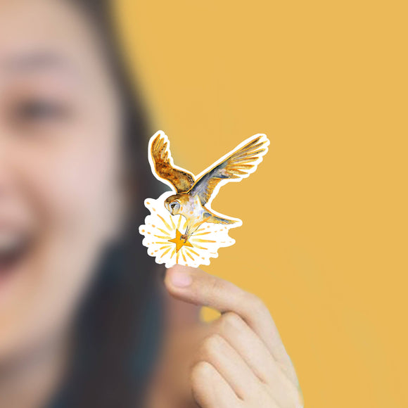 Barn Owl Star Sticker