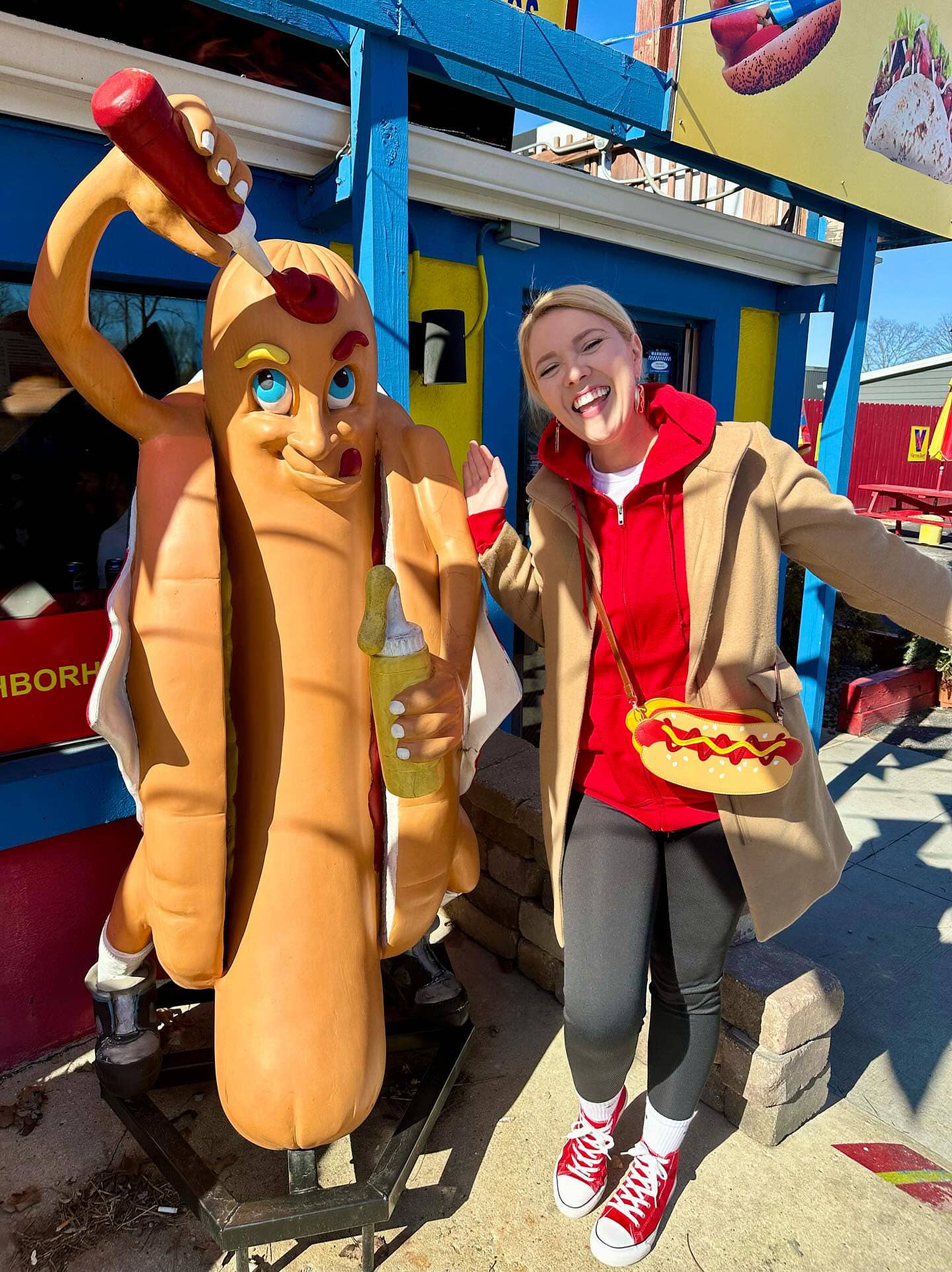 Hot Dog Crossbody Handbag
