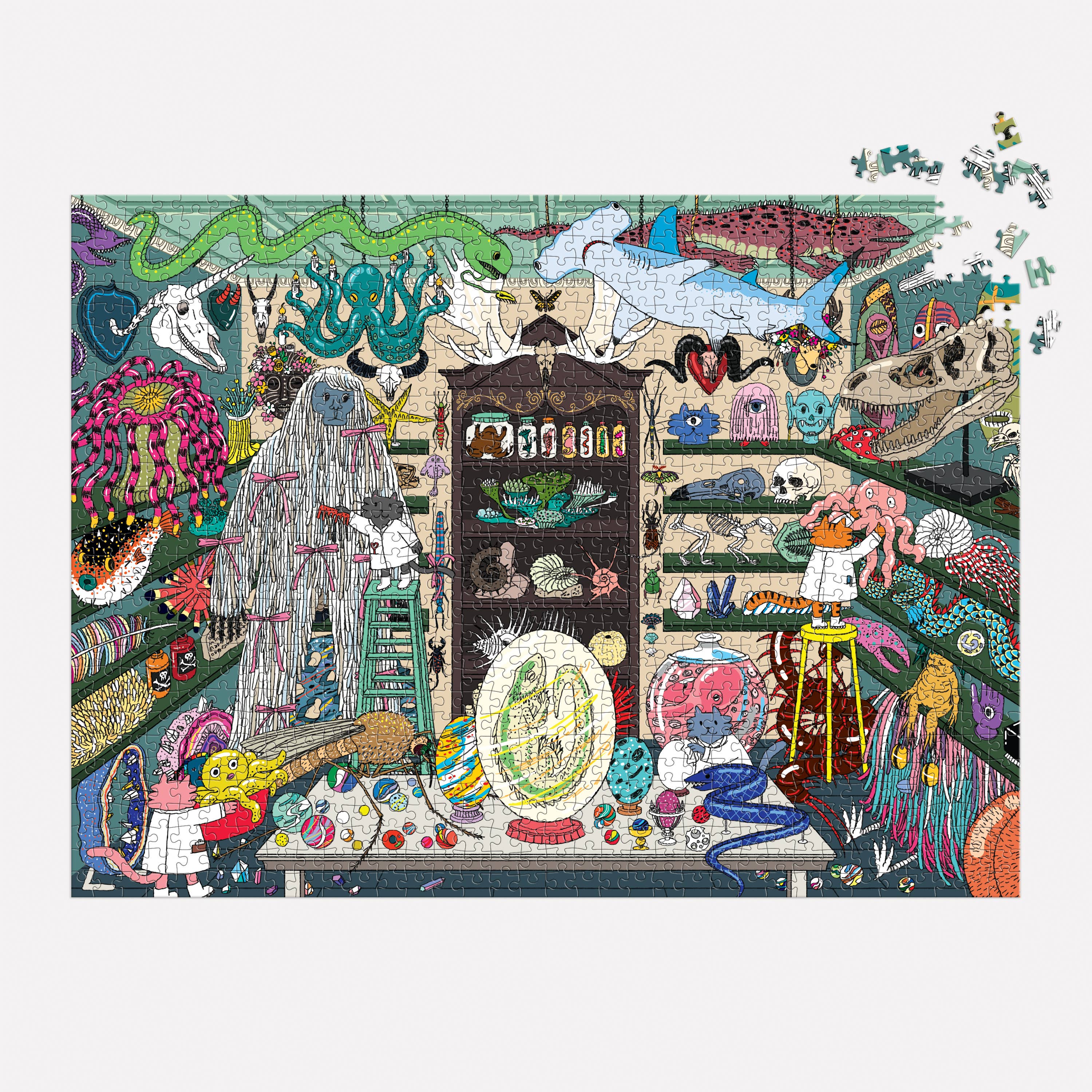 World of Curiosities 1000 Piece Puzzle - 0
