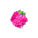Mini Raspberry Hair Claw Clip-9