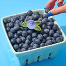 Mini Blueberry Hair Claw Clip-8