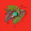 Rainbow Chard Jenny Lemons Hair Claw-8