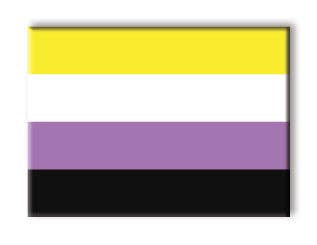 Pride Flag Non-Binary Magnet