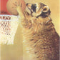 Raccoon Playing Basketball Magnet