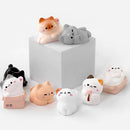 Random Cozy Cat Miniature Figure-3