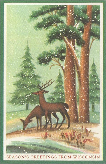 Season's Greetings from Wisconsin Card