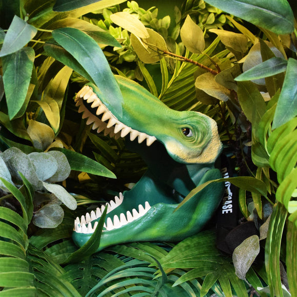 Dinosaur Lunch Box