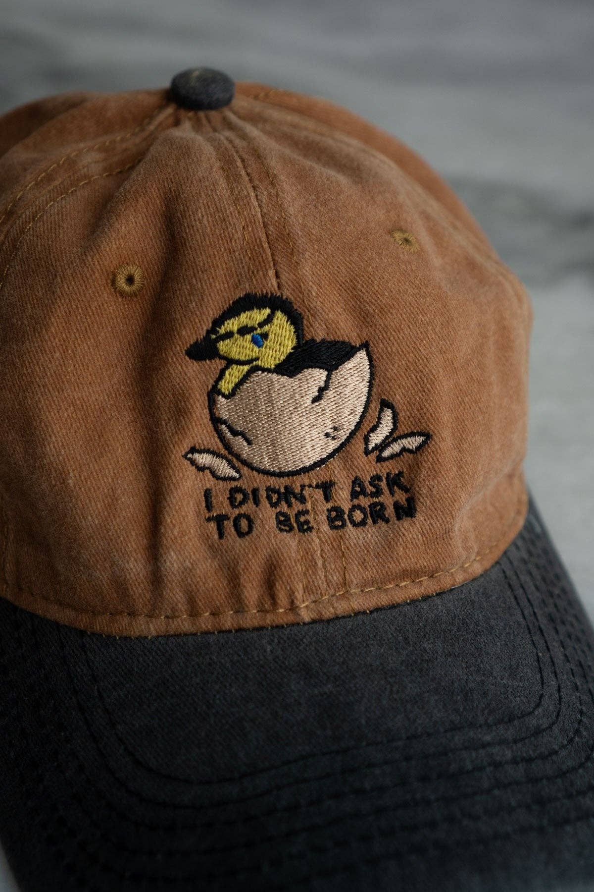 Didn't Ask to be Born Dad Hat