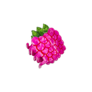 Mini Raspberry Hair Claw Clip-1