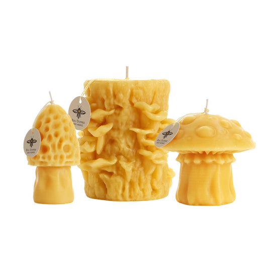 Mushroom Beeswax Candles