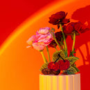 Cherries Jenny Lemons Hair Claw-4