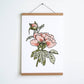 Too Bad So Sad (Peonies) Print