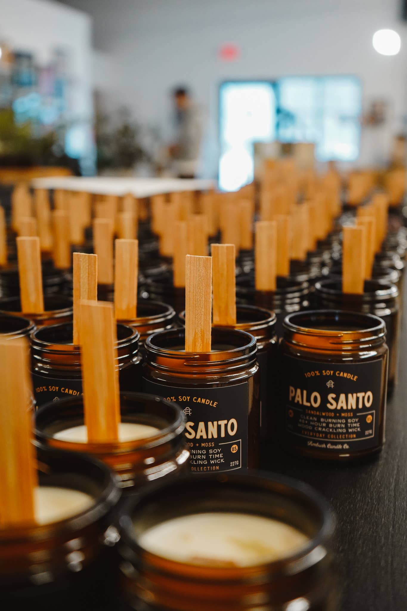 Palo Santo | Sandalwood + Moss Candle