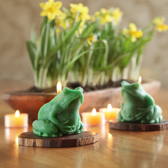 Frog Beeswax Candle