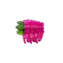 Mini Raspberry Hair Claw Clip-7