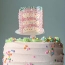 Confetti Cake Hair Claw Clip-12