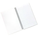 New Year, Same Stupid Idiot Journal-3