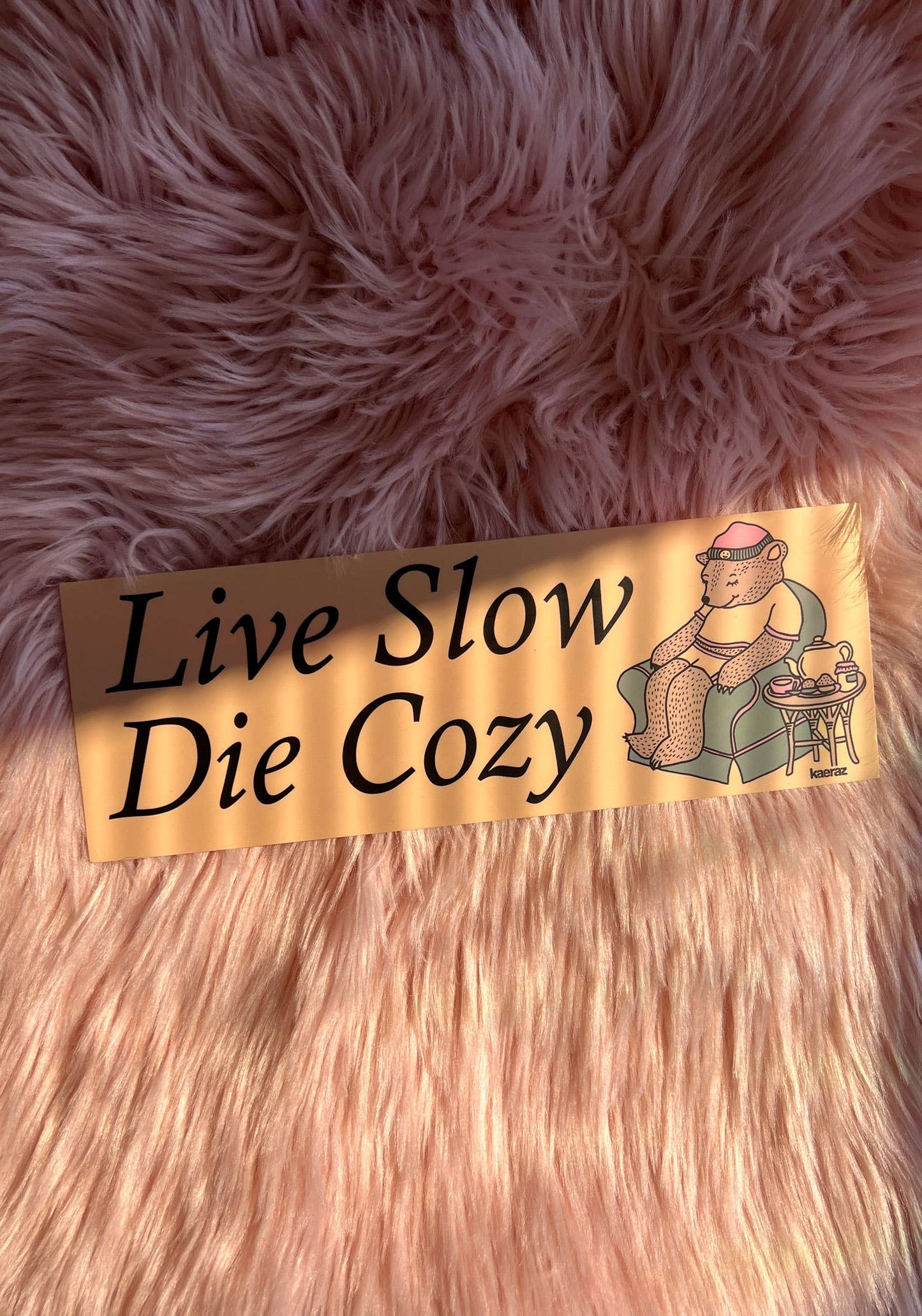 Live Slow Die Cozy Bumper Sticker