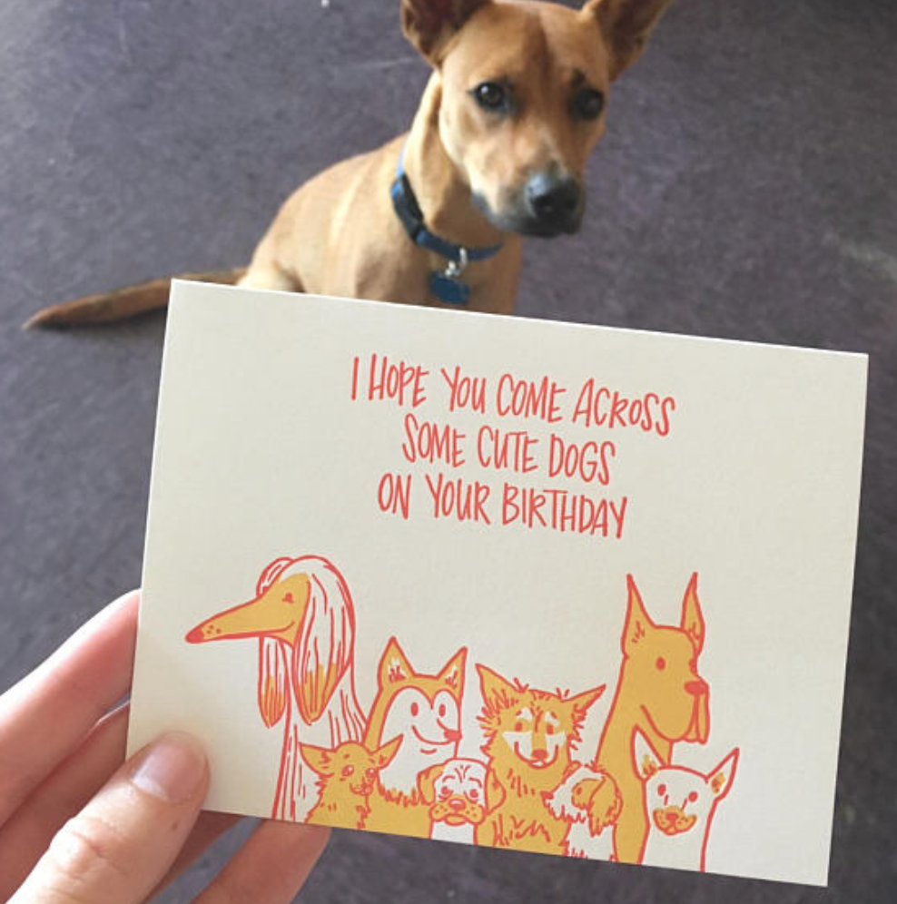 Cute Dogs Birthday Card