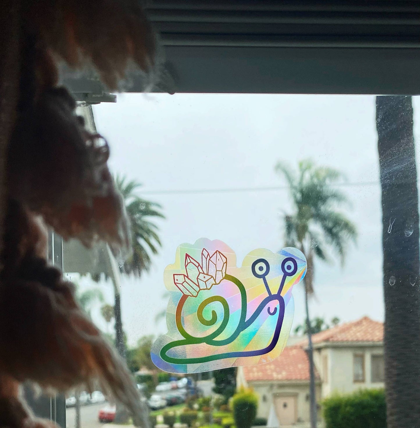 Snail Suncatcher Decal