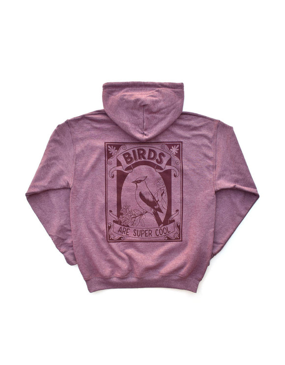 Birds Are Super Cool Hoodie