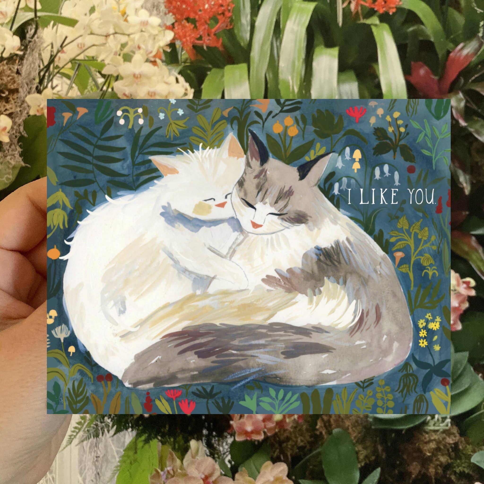 I Like You Cats Card - 0