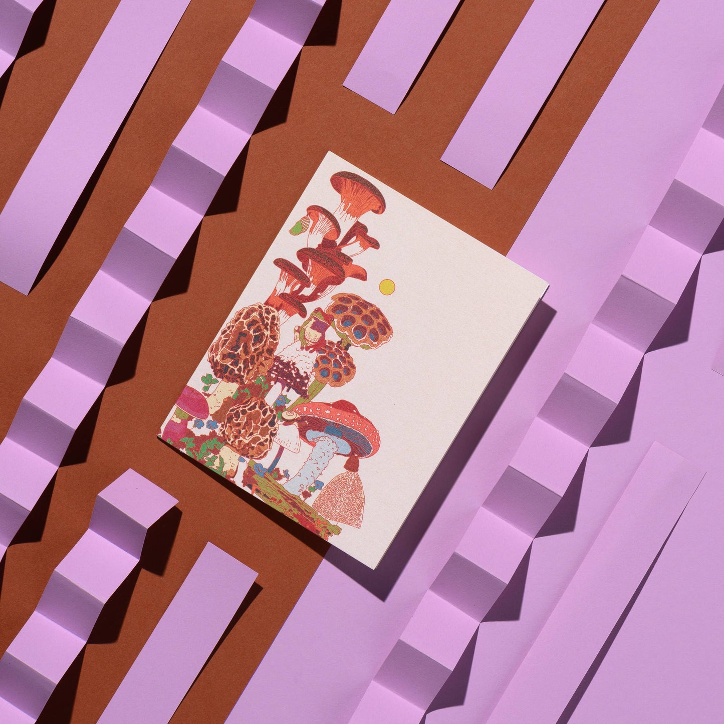 Frog and Fungi Card