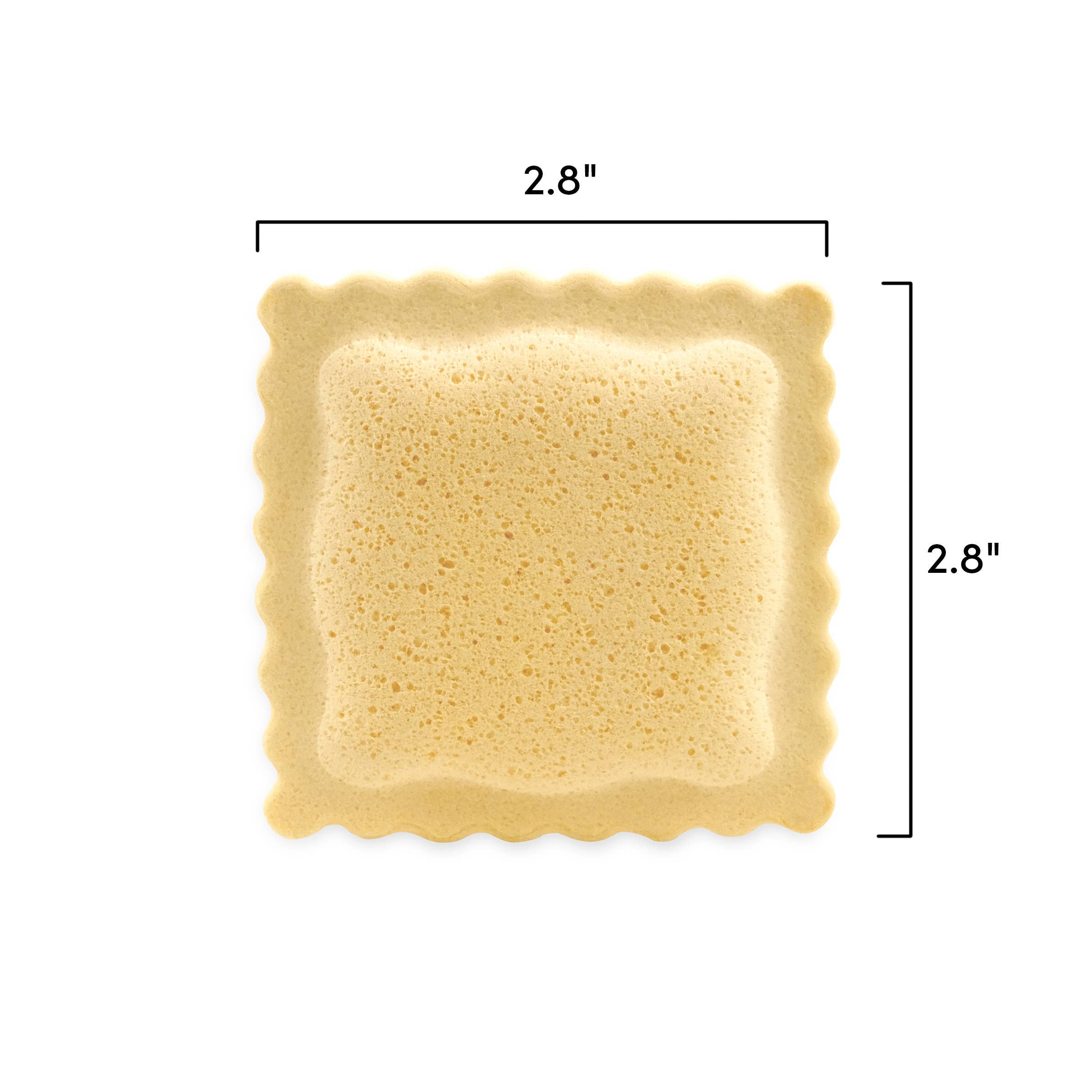 Ravioli Compressed Sponges - Set of 6