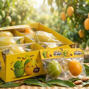 Color Changing Mango Squishy-1