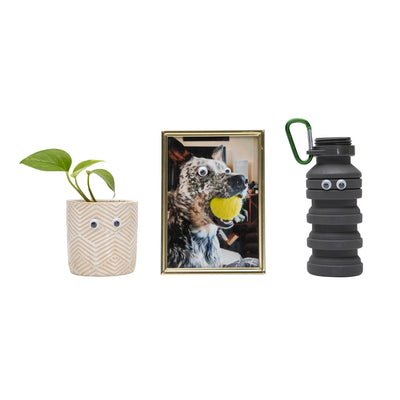 Googly Eyes: Emergency Adhesive Eyeballs Kit - 0