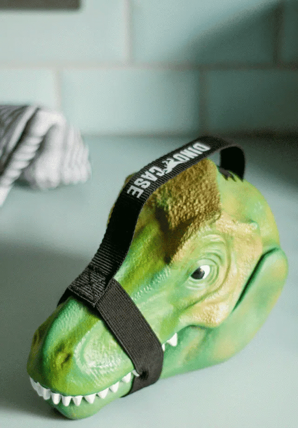Dinosaur Lunch Box